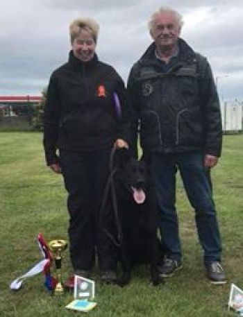 Heather and Vino with Judge Wim V Dyke, when SuperTrophy runners up at the BAGSD SuperTrophy 2018 (FCI Selection Trial)